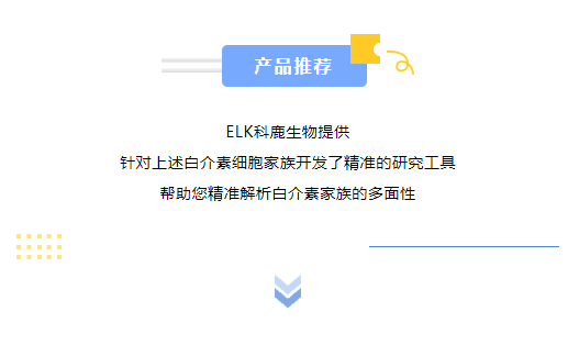 意大利贵宾会-贵宾会官方网站入口