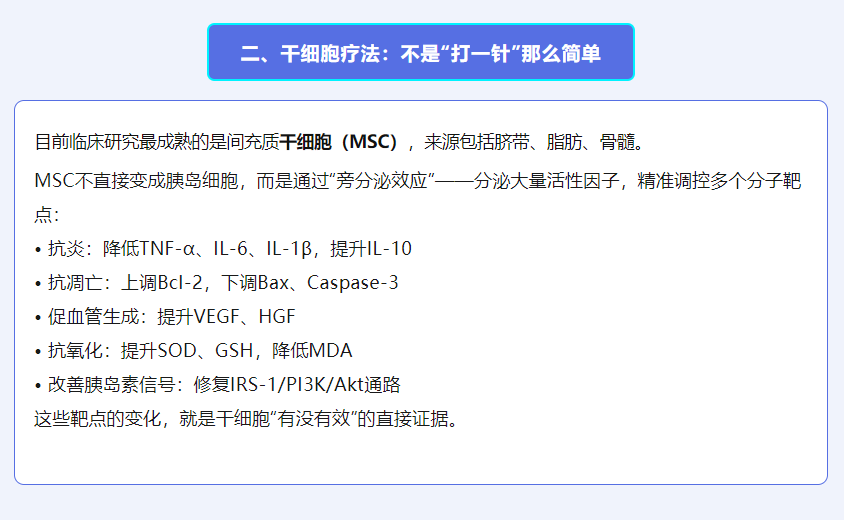 意大利贵宾会-贵宾会官方网站入口