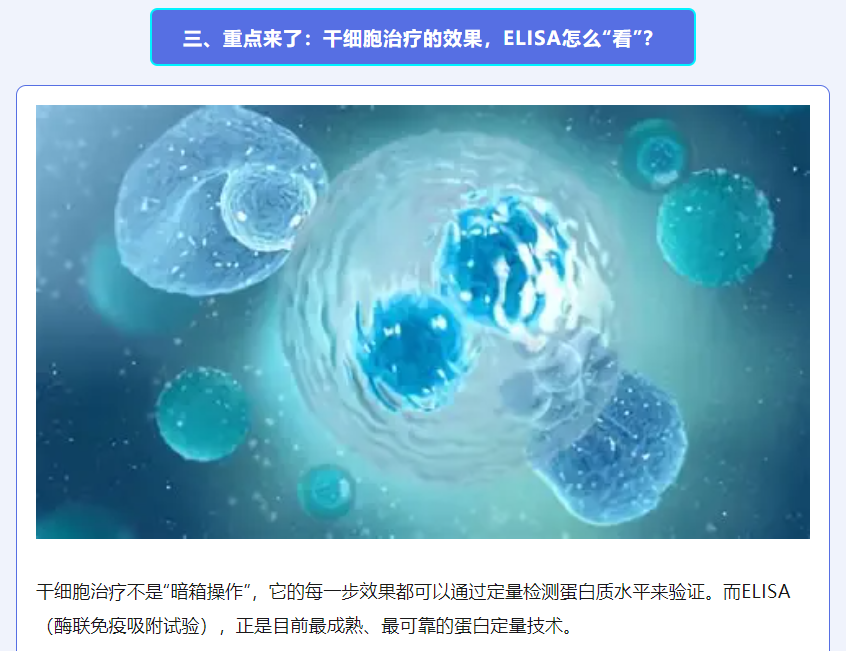 意大利贵宾会-贵宾会官方网站入口