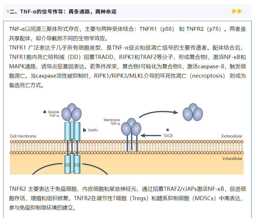 意大利贵宾会-贵宾会官方网站入口