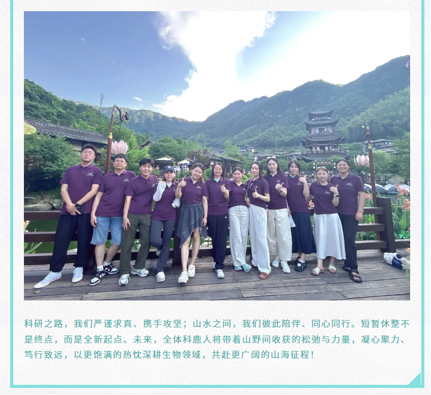 意大利贵宾会-贵宾会官方网站入口