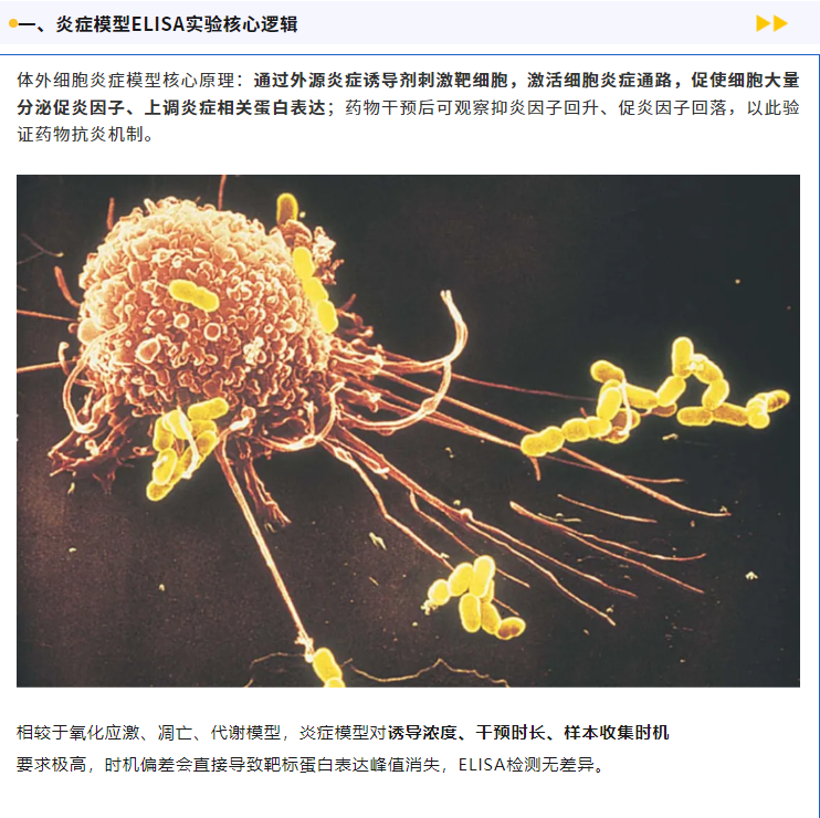 意大利贵宾会-贵宾会官方网站入口