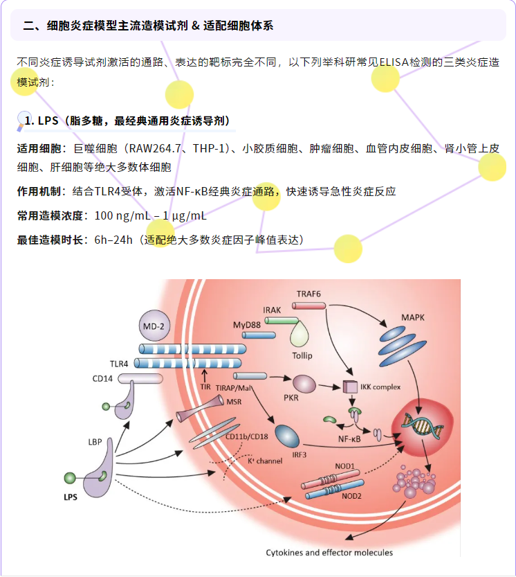 意大利贵宾会-贵宾会官方网站入口