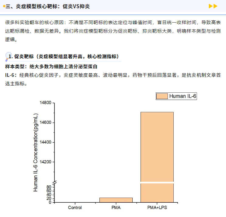 意大利贵宾会-贵宾会官方网站入口