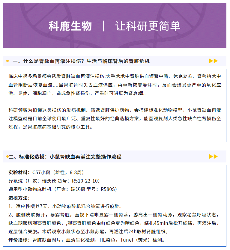 意大利贵宾会-贵宾会官方网站入口