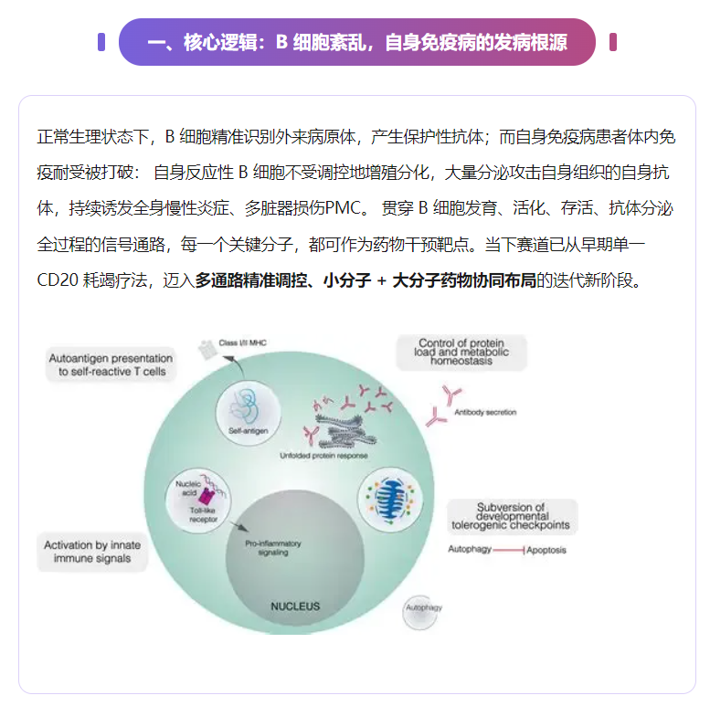 意大利贵宾会-贵宾会官方网站入口