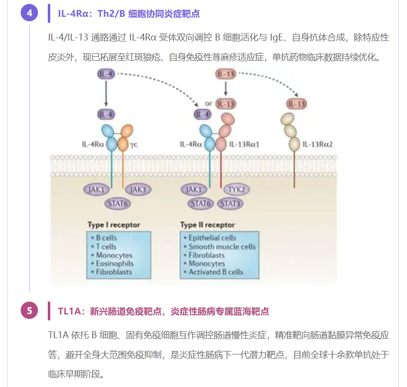 意大利贵宾会-贵宾会官方网站入口