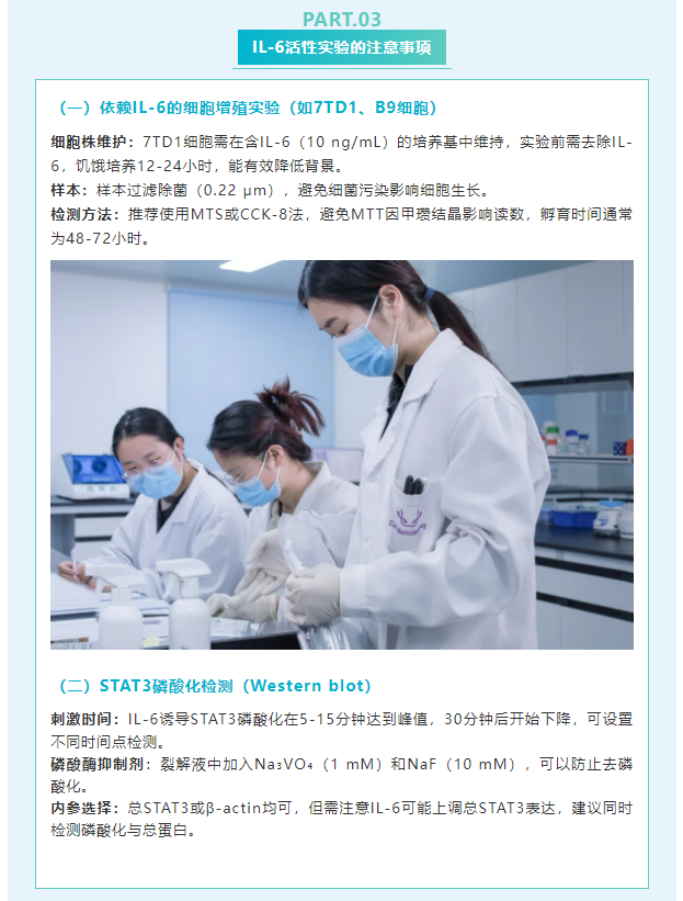 意大利贵宾会-贵宾会官方网站入口
