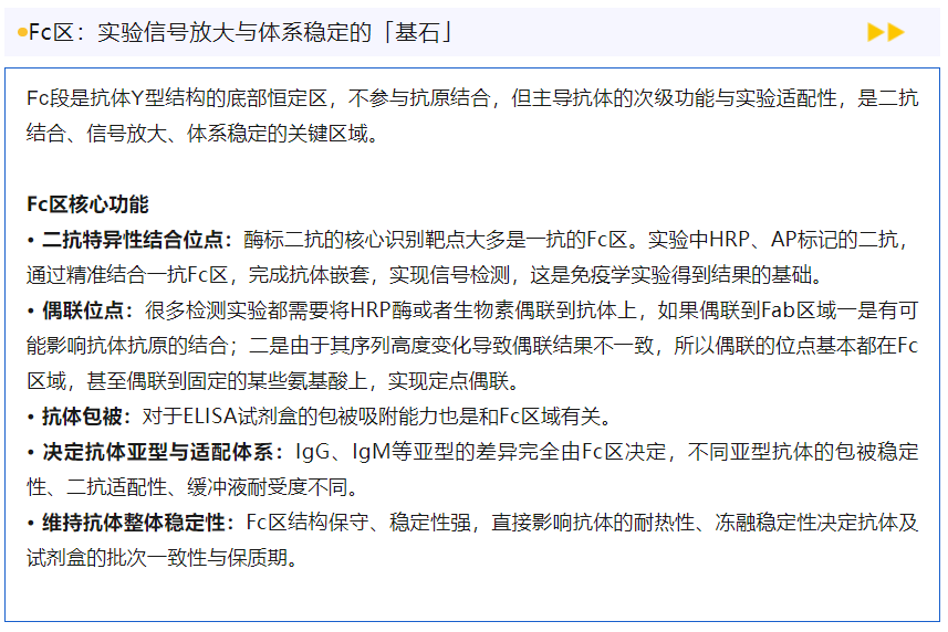 意大利贵宾会-贵宾会官方网站入口
