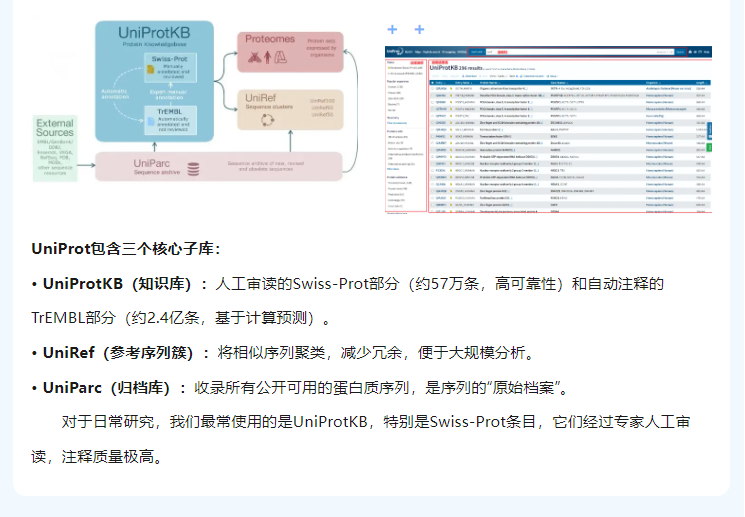 意大利贵宾会-贵宾会官方网站入口