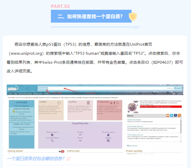 意大利贵宾会-贵宾会官方网站入口