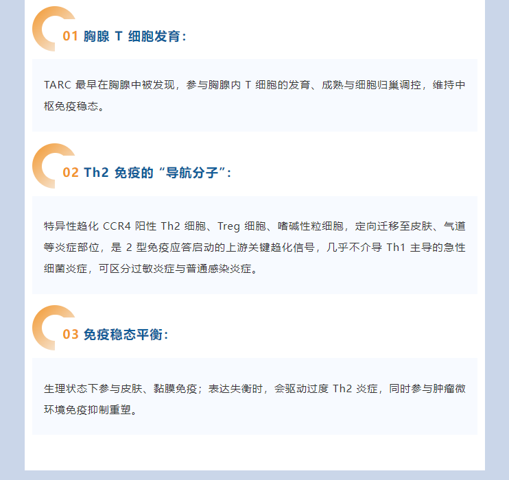 意大利贵宾会-贵宾会官方网站入口