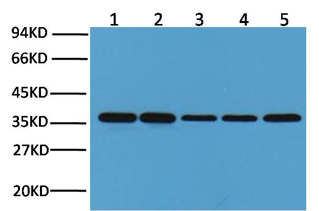 意大利贵宾会-贵宾会官方网站入口