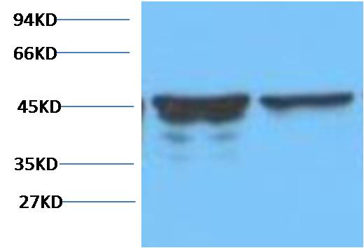 意大利贵宾会-贵宾会官方网站入口