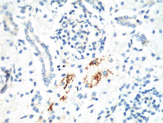 意大利贵宾会-贵宾会官方网站入口