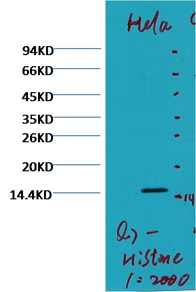 意大利贵宾会-贵宾会官方网站入口