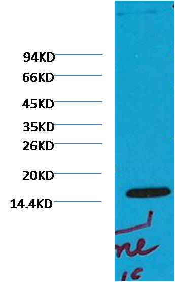 意大利贵宾会-贵宾会官方网站入口