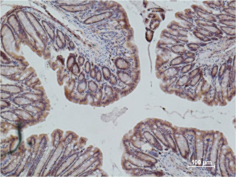 意大利贵宾会-贵宾会官方网站入口