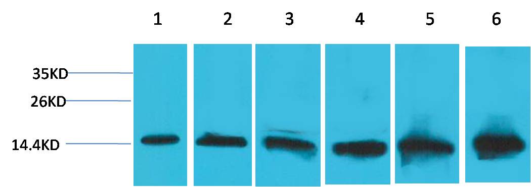 意大利贵宾会-贵宾会官方网站入口