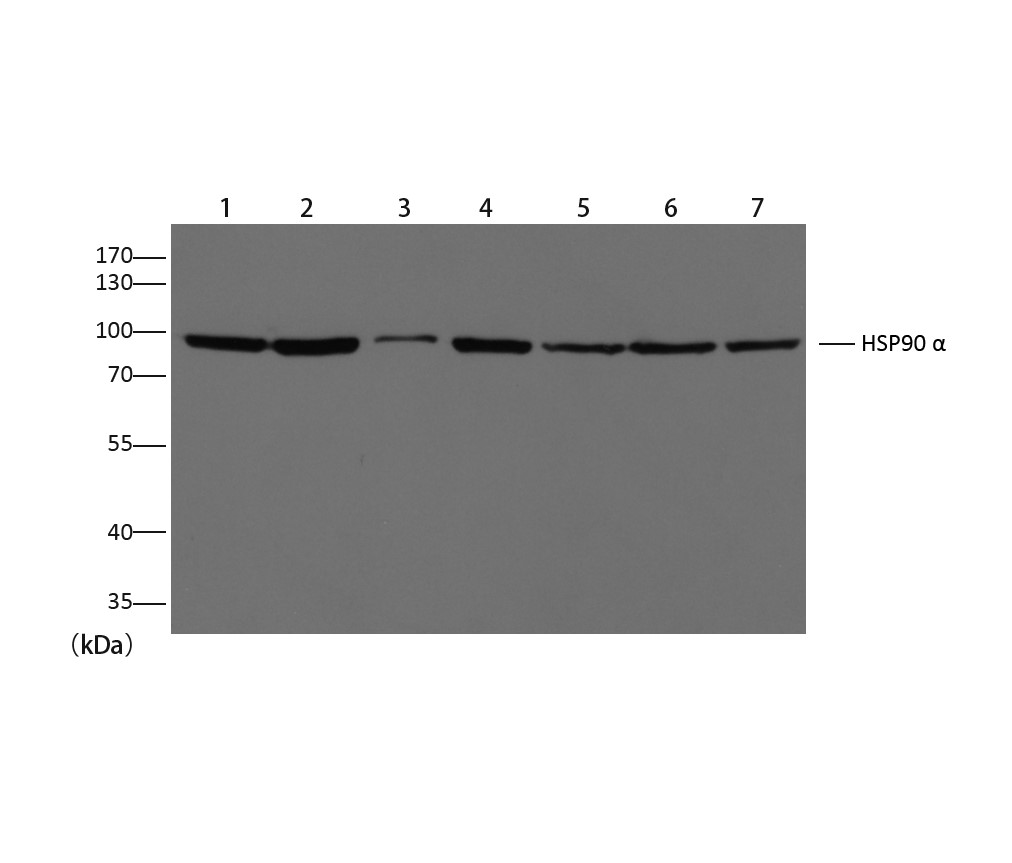 意大利贵宾会-贵宾会官方网站入口