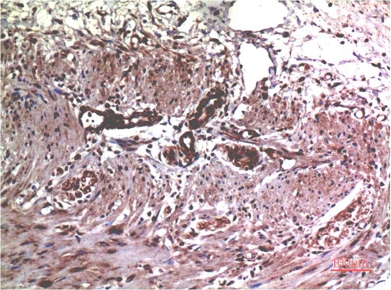 意大利贵宾会-贵宾会官方网站入口