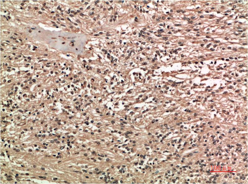 意大利贵宾会-贵宾会官方网站入口