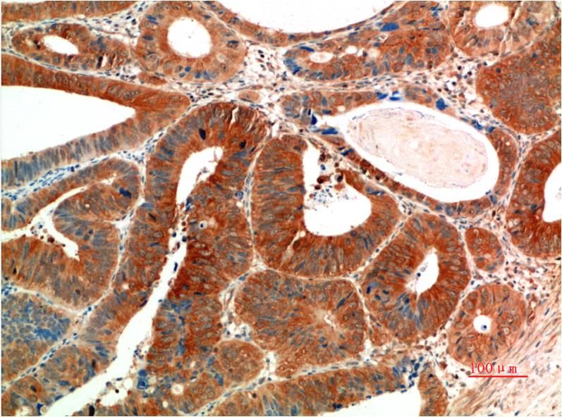 意大利贵宾会-贵宾会官方网站入口