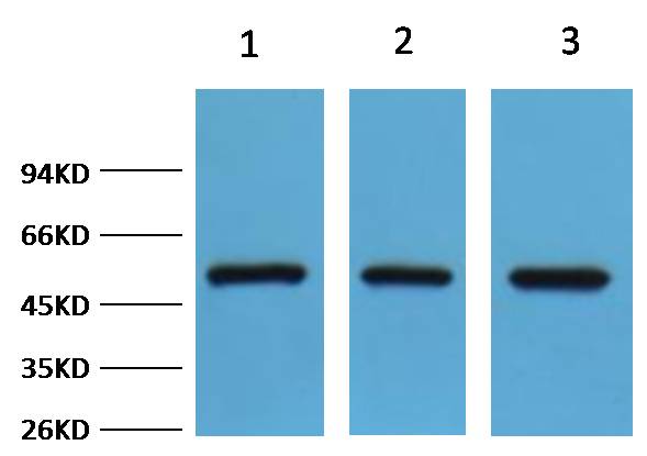意大利贵宾会-贵宾会官方网站入口