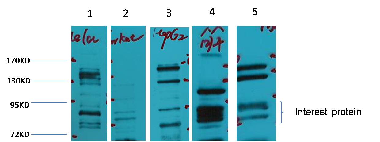 意大利贵宾会-贵宾会官方网站入口