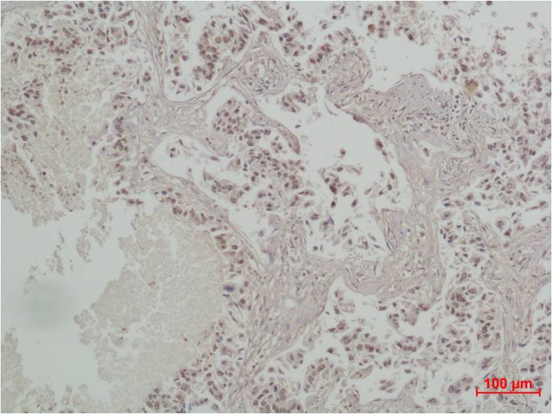意大利贵宾会-贵宾会官方网站入口