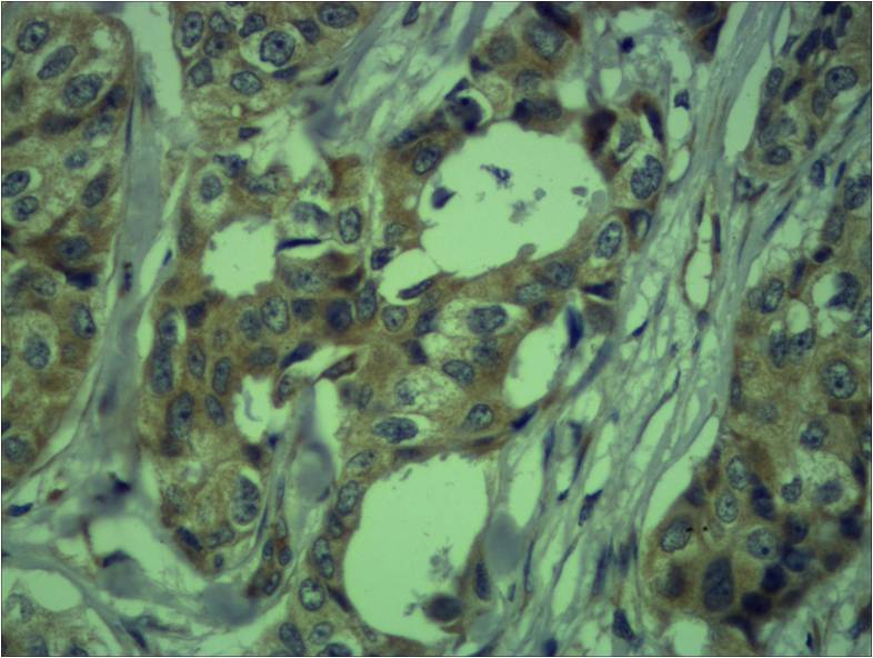意大利贵宾会-贵宾会官方网站入口