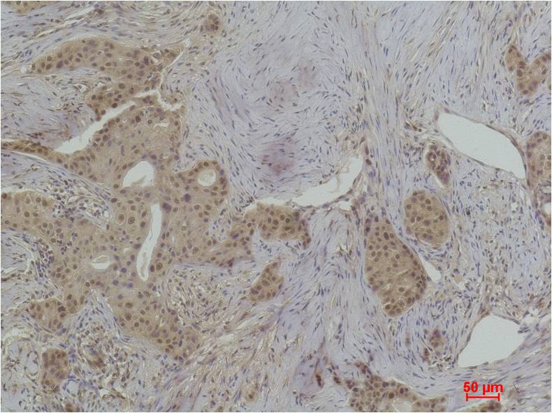 意大利贵宾会-贵宾会官方网站入口