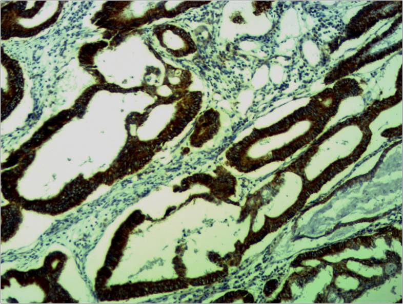 意大利贵宾会-贵宾会官方网站入口