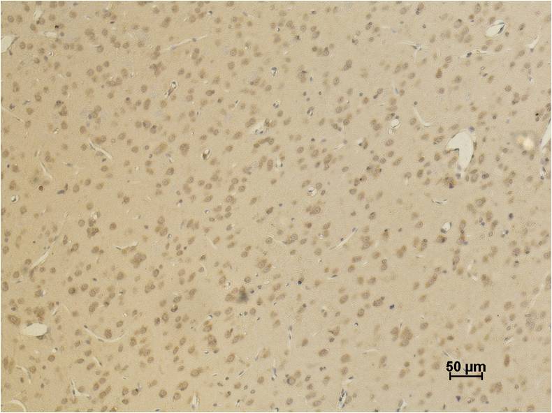 意大利贵宾会-贵宾会官方网站入口