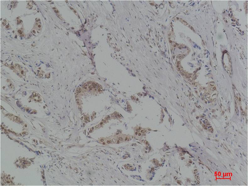 意大利贵宾会-贵宾会官方网站入口