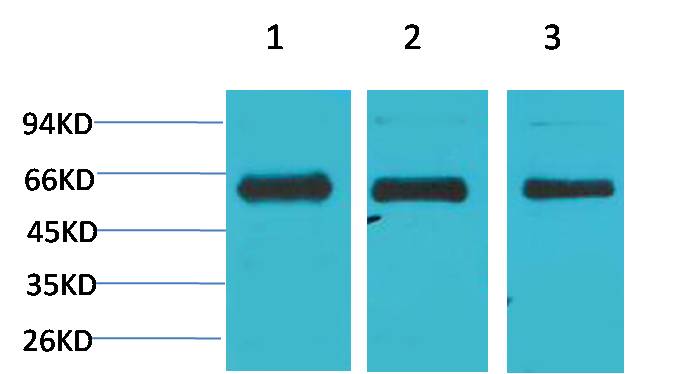 意大利贵宾会-贵宾会官方网站入口