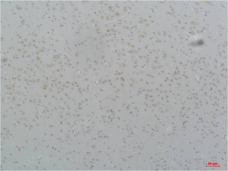 意大利贵宾会-贵宾会官方网站入口