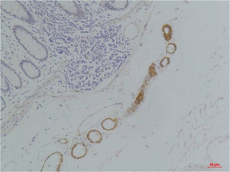 意大利贵宾会-贵宾会官方网站入口