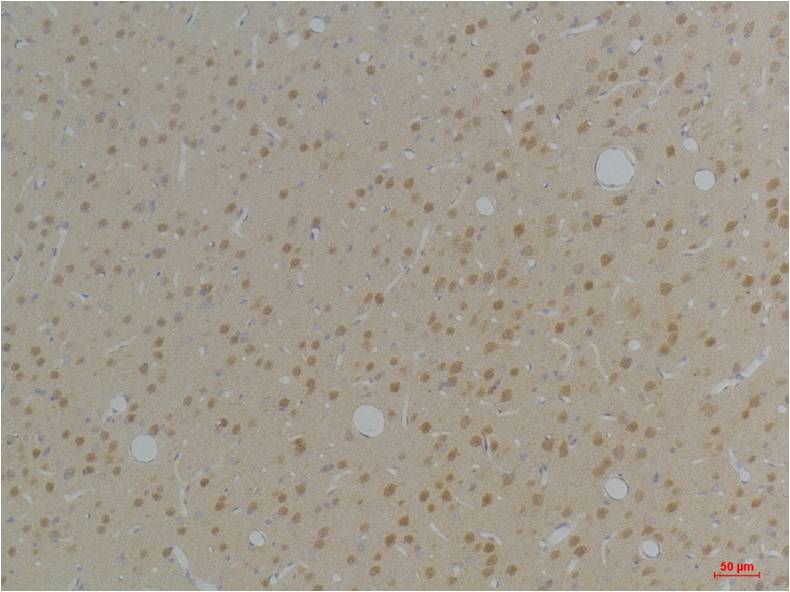 意大利贵宾会-贵宾会官方网站入口