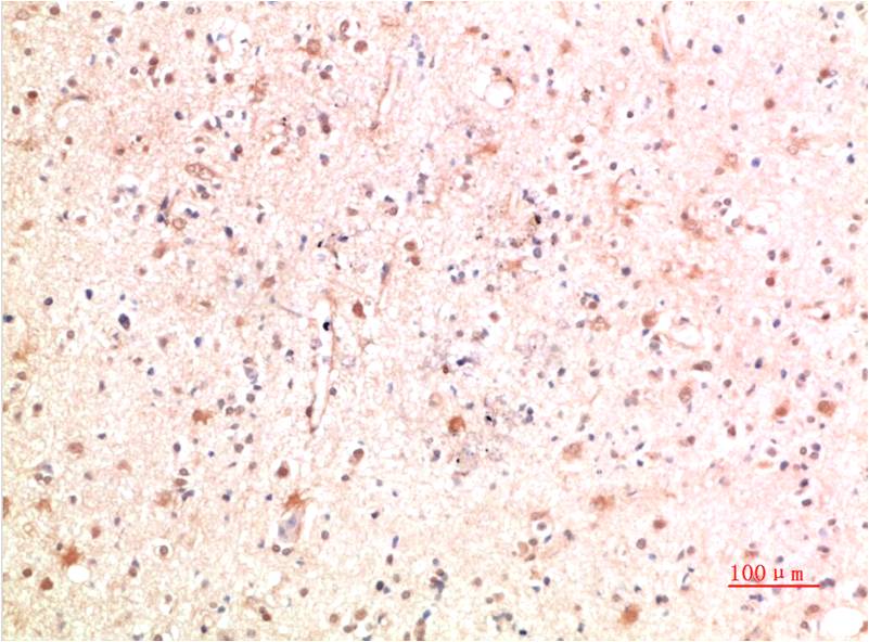 意大利贵宾会-贵宾会官方网站入口