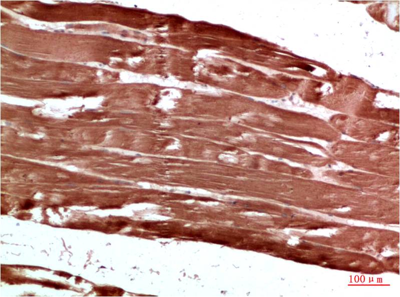 意大利贵宾会-贵宾会官方网站入口