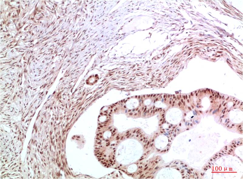 意大利贵宾会-贵宾会官方网站入口