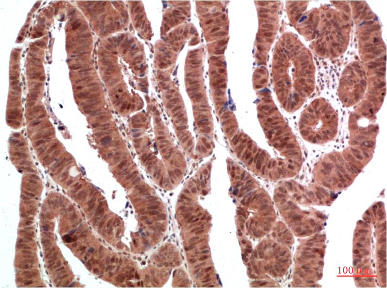 意大利贵宾会-贵宾会官方网站入口