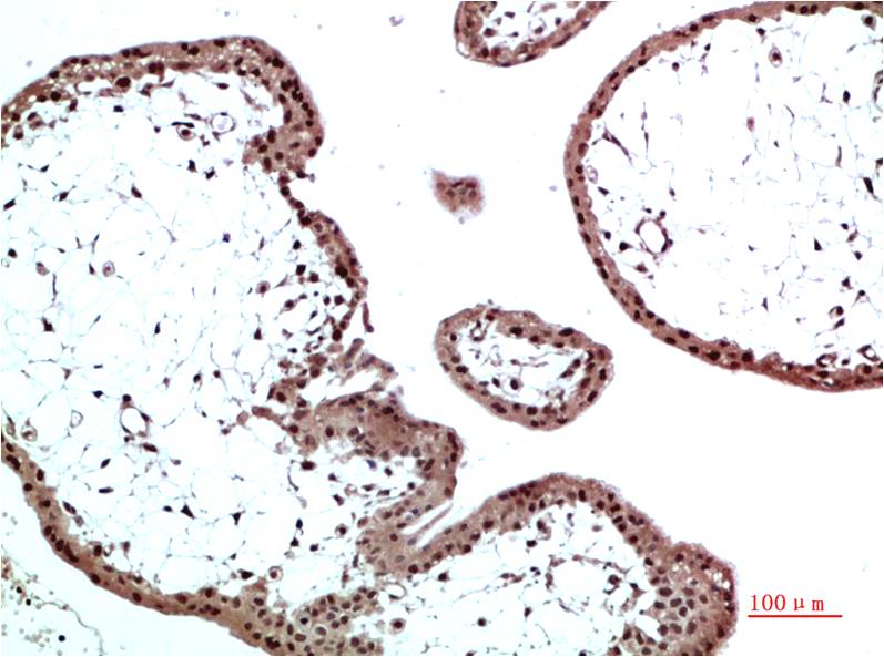 意大利贵宾会-贵宾会官方网站入口