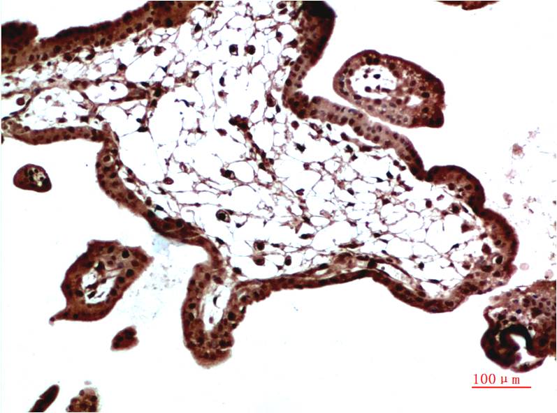 意大利贵宾会-贵宾会官方网站入口