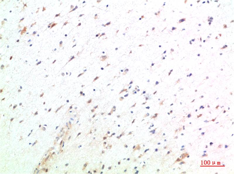 意大利贵宾会-贵宾会官方网站入口