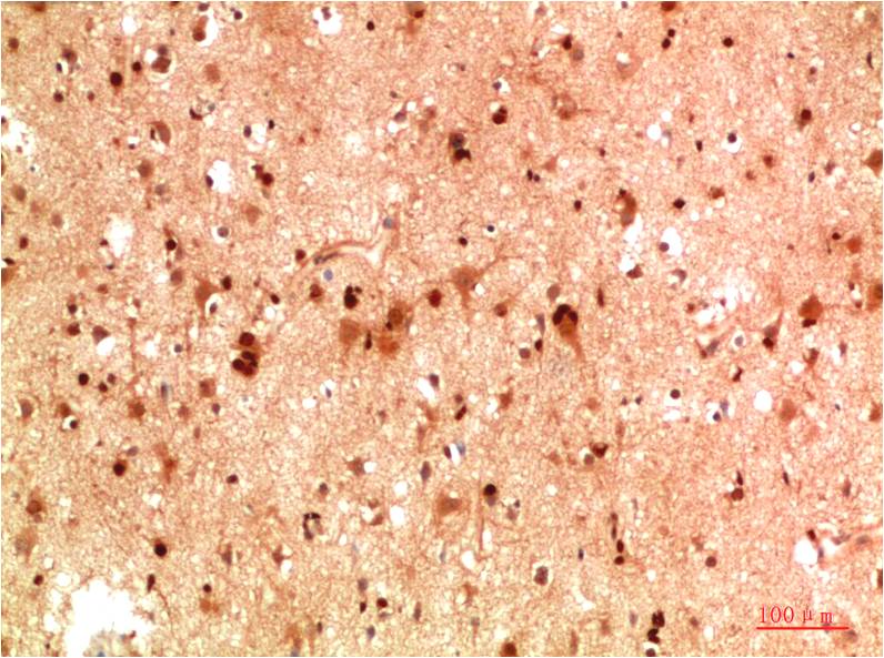意大利贵宾会-贵宾会官方网站入口