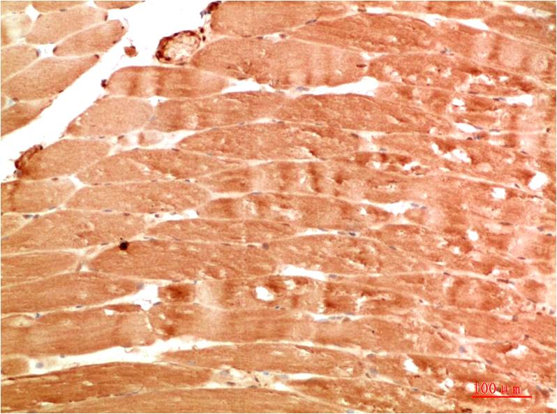 意大利贵宾会-贵宾会官方网站入口