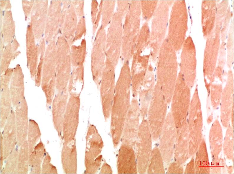 意大利贵宾会-贵宾会官方网站入口