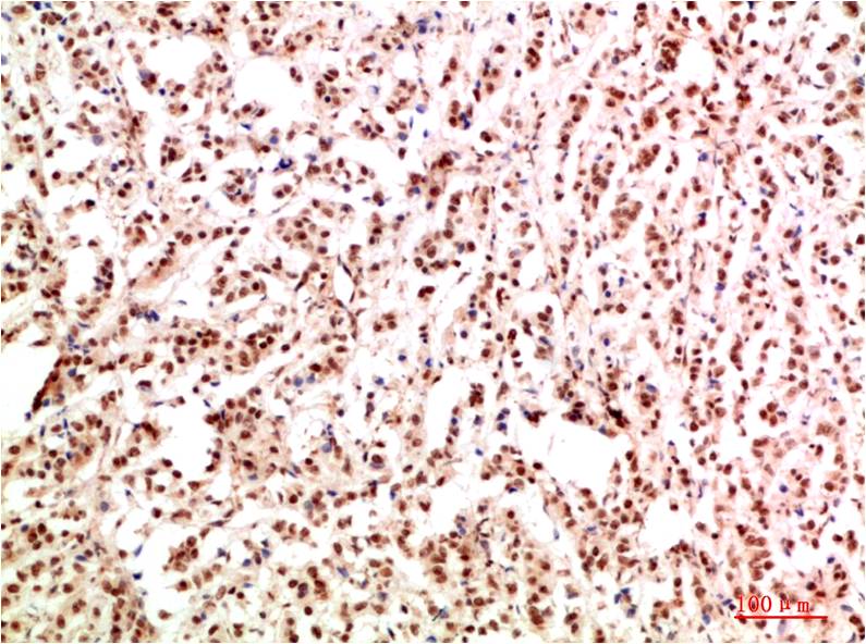 意大利贵宾会-贵宾会官方网站入口